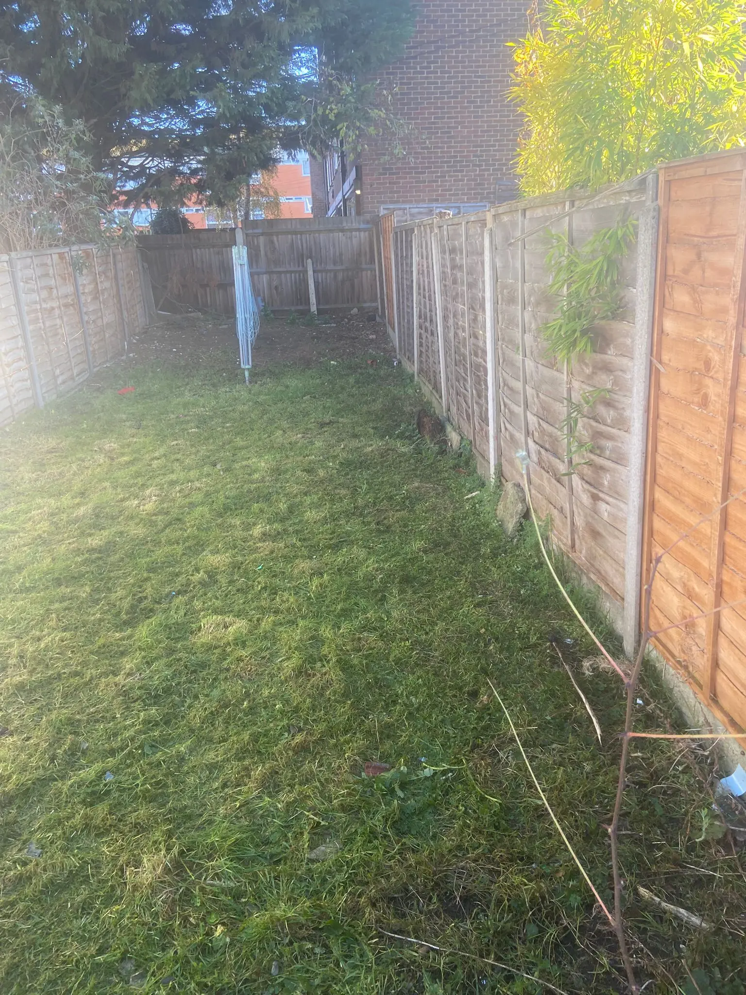 Swept, empty garden area after rubbish clearance